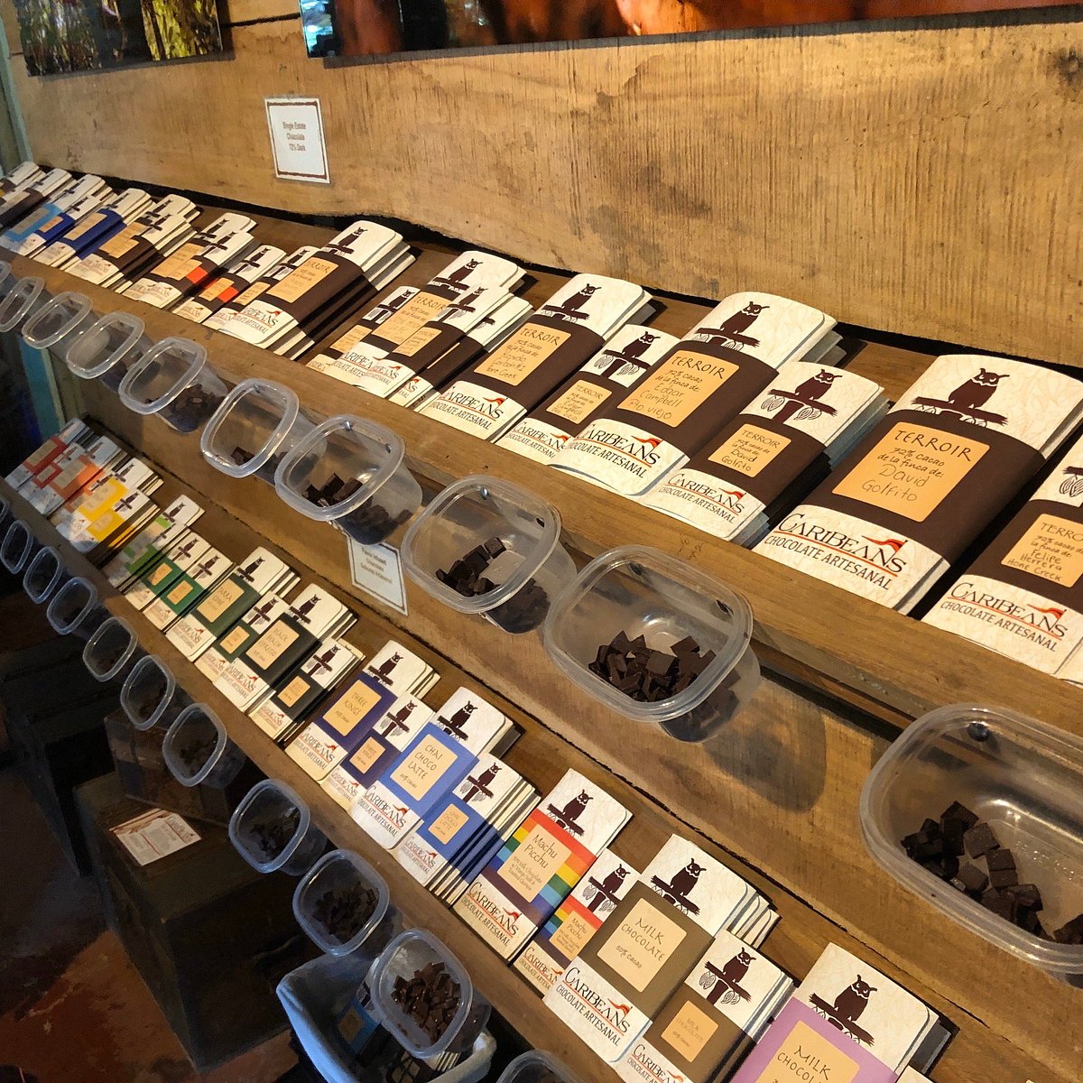 Chocolate Tour Puerto Viejo: Cacao Farm & Bean-to-Bar Experience