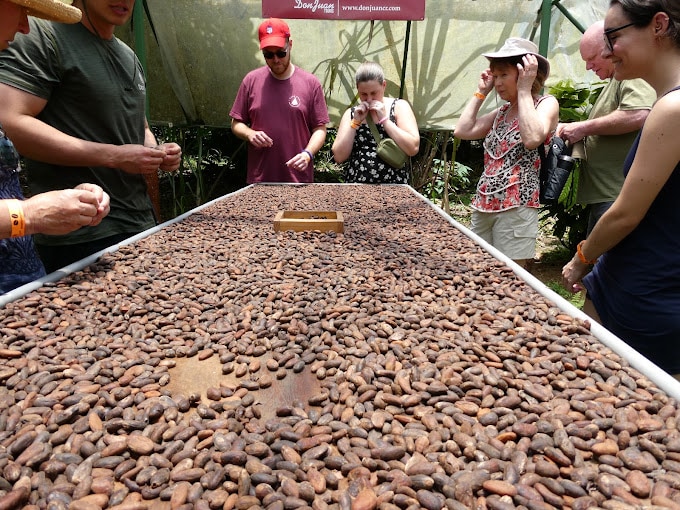 Coffee Tour Arenal