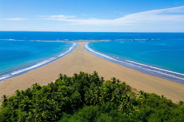 Aerial view of Uvita's Whale's Tail sandbar beach with palm trees and blue ocean waves