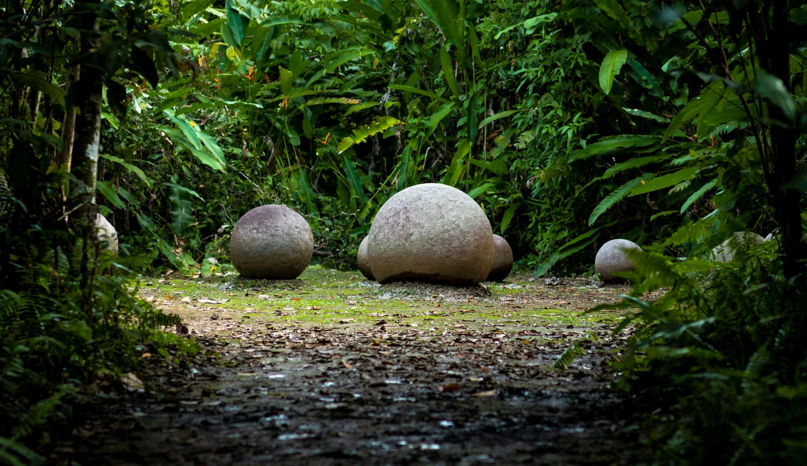 Ancient stone spheres resting on a grassy jungle path surrounded by dense green foliage