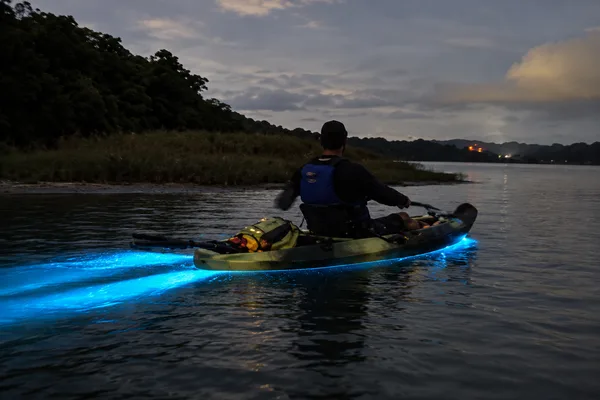 Caiac bioluminescent a Drake Bay