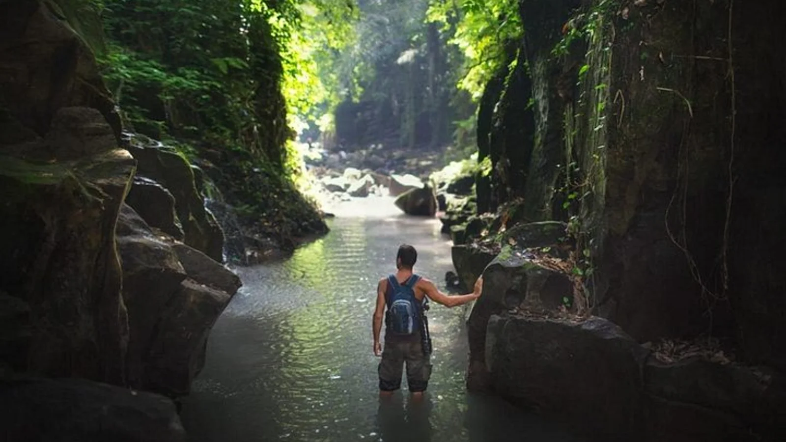 7 Day Adventure and Wildlife Tour in Drake Bay and Osa
