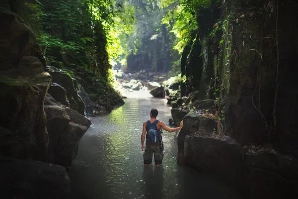 7 Day Adventure and Wildlife Tour in Drake Bay and Osa