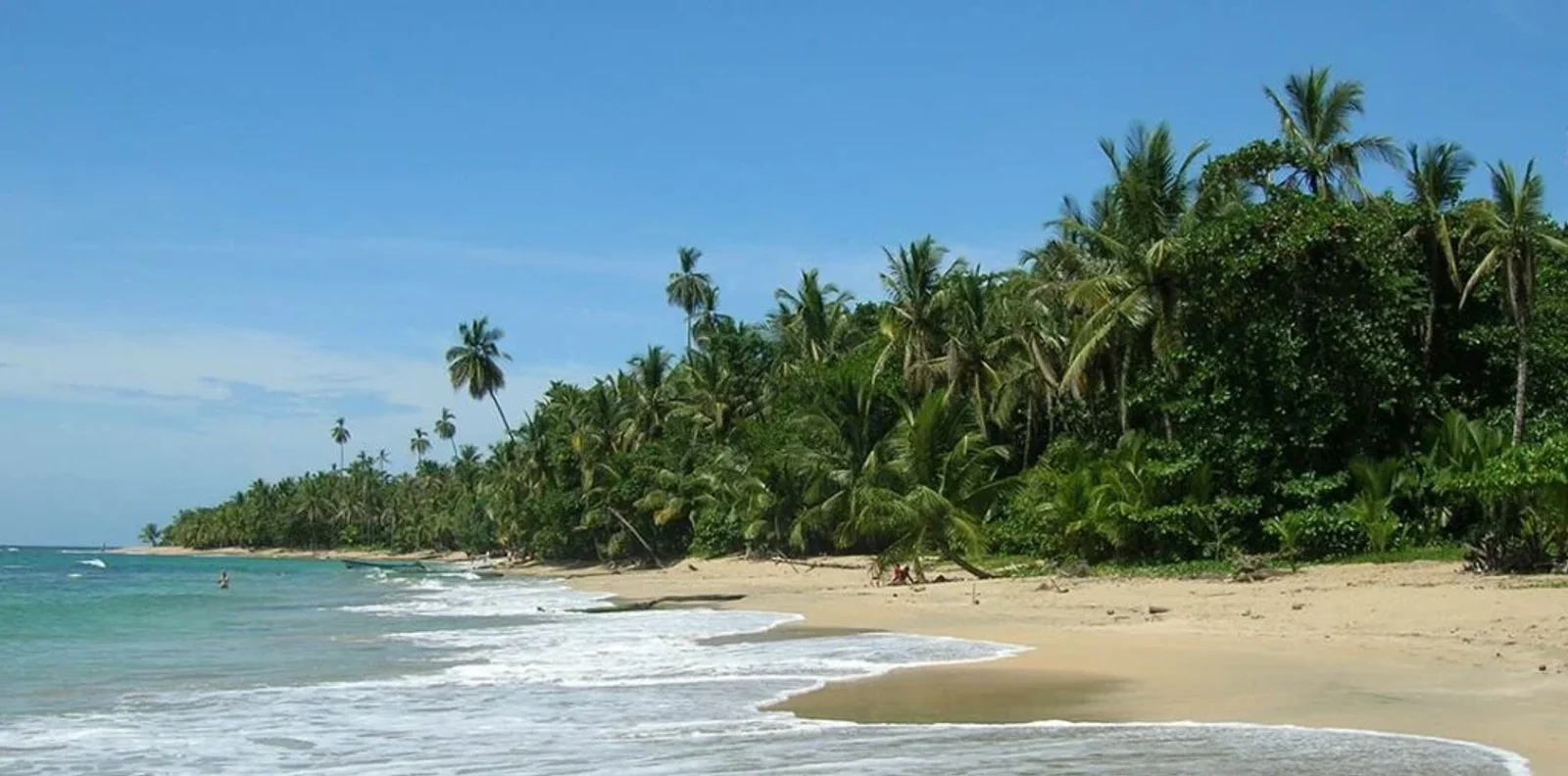 Palm-lined tropical beach with gentle waves and a few distant figures near the shore