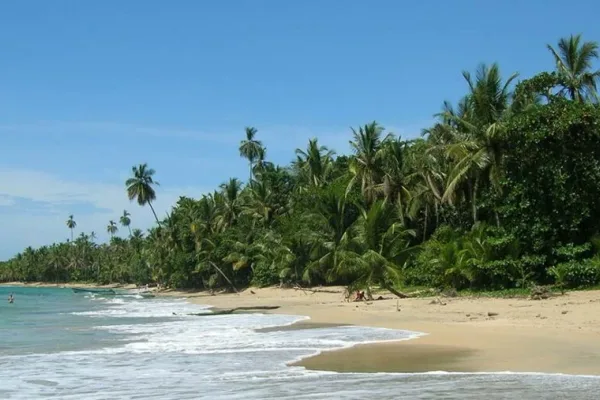 Palm-lined tropical beach with gentle waves and a few distant figures near the shore