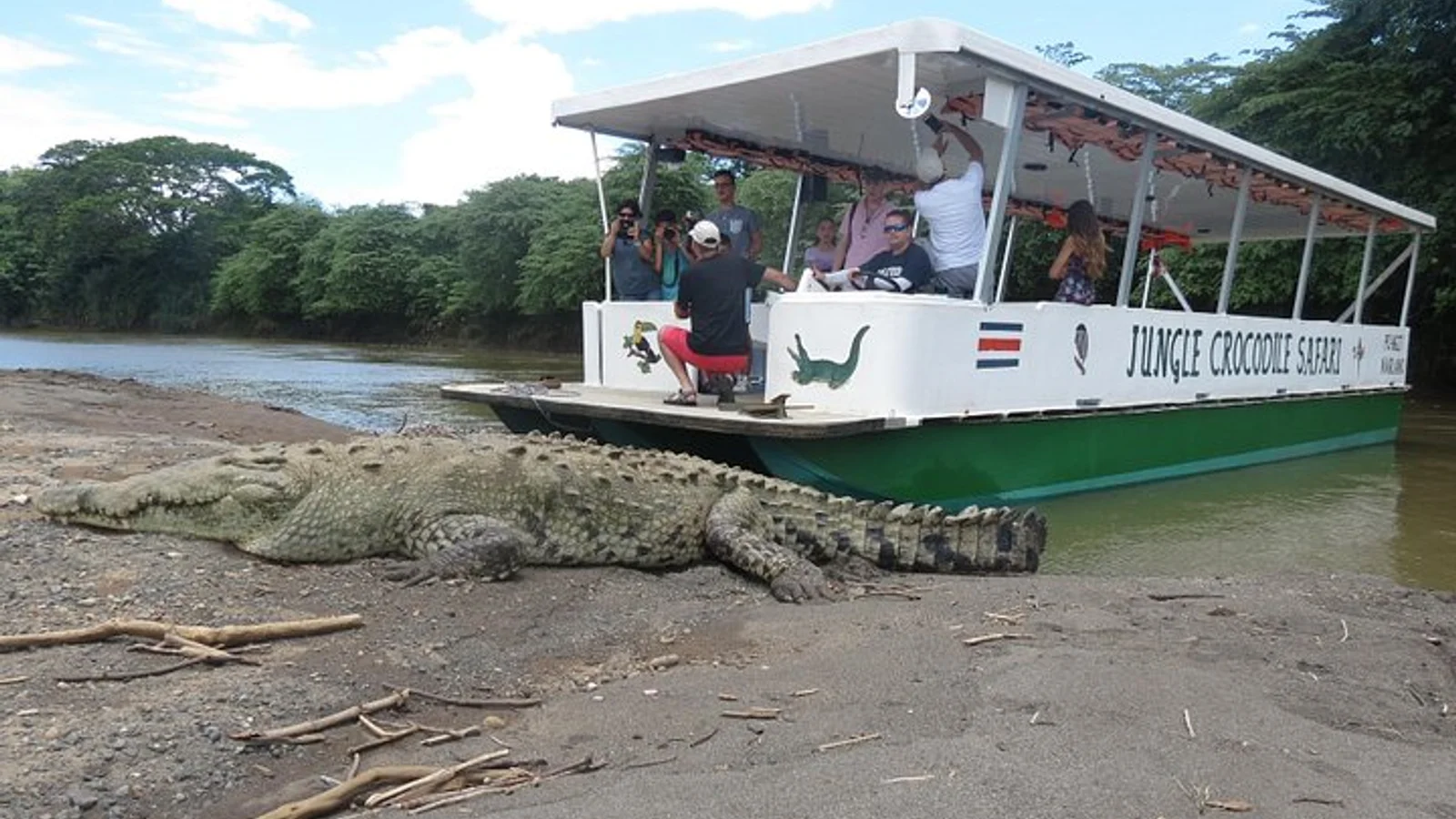 Jungle Crocodile Safari: Tarcoles River Crocodile Tour