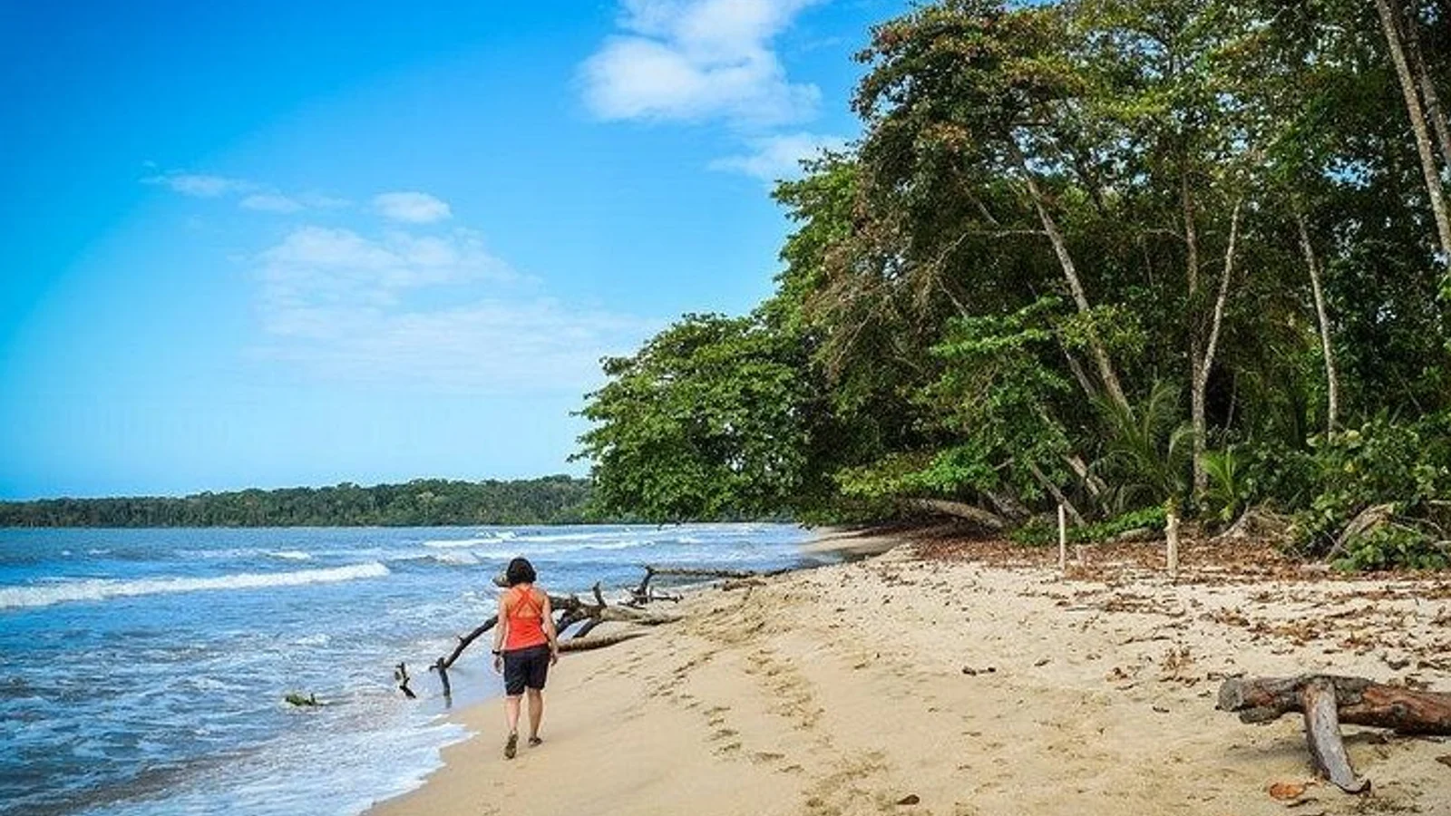 Full-Day Tour to Cahuita National Park from Puerto Limon