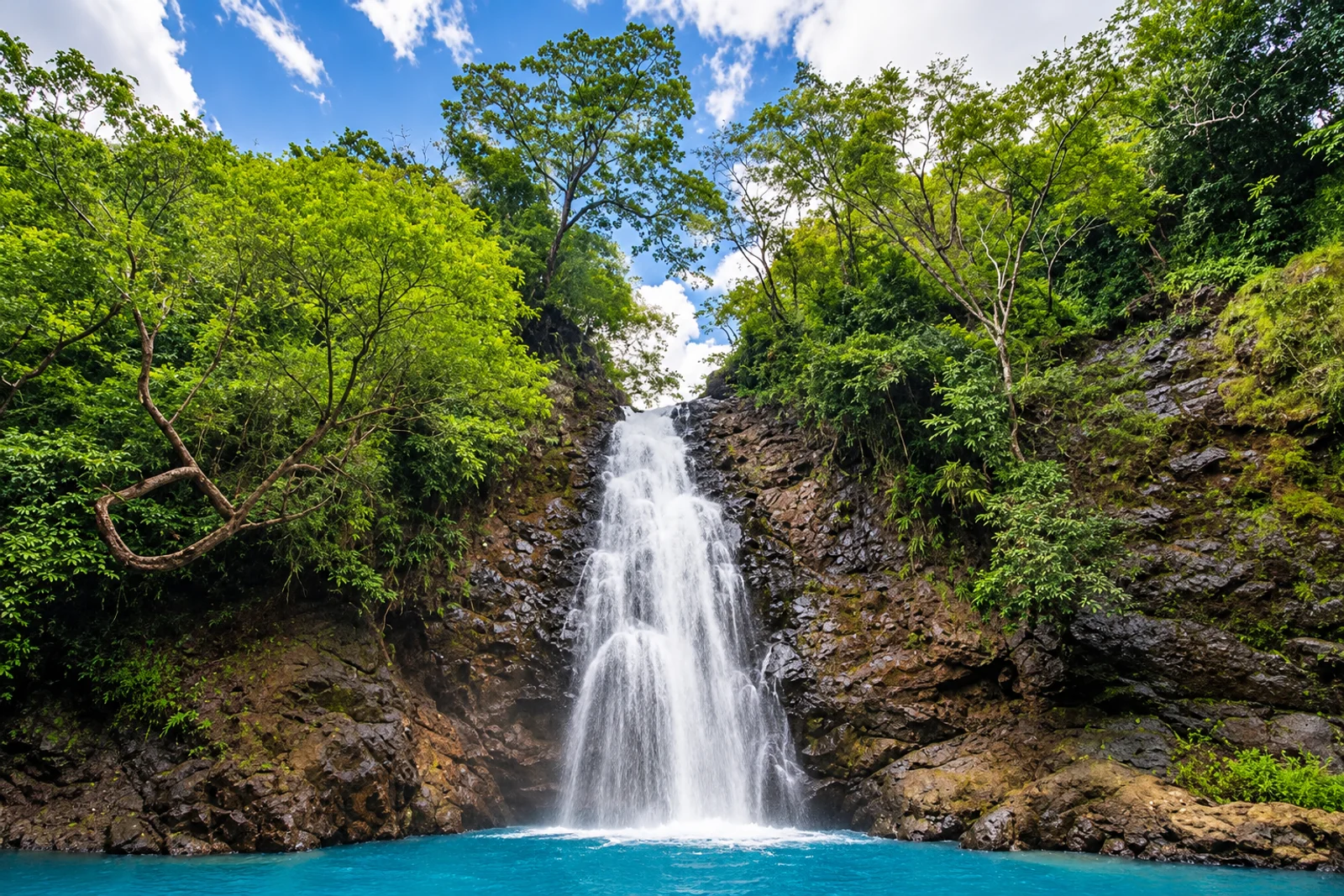 Waterfall cascading down a rocky cliff into a turquoise pool, surrounded by lush jungle trees