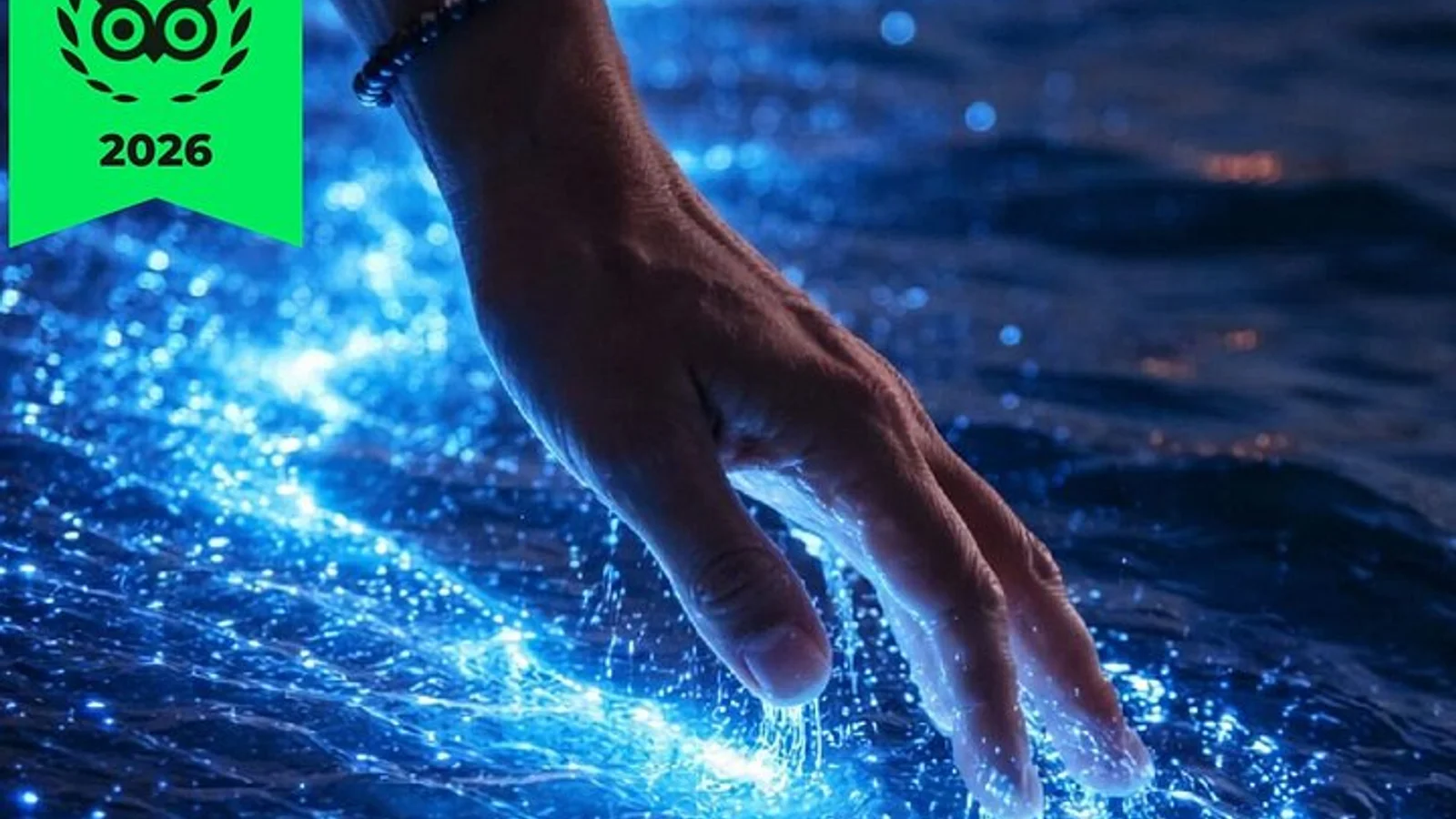 Bioluminescence Cocos Tours