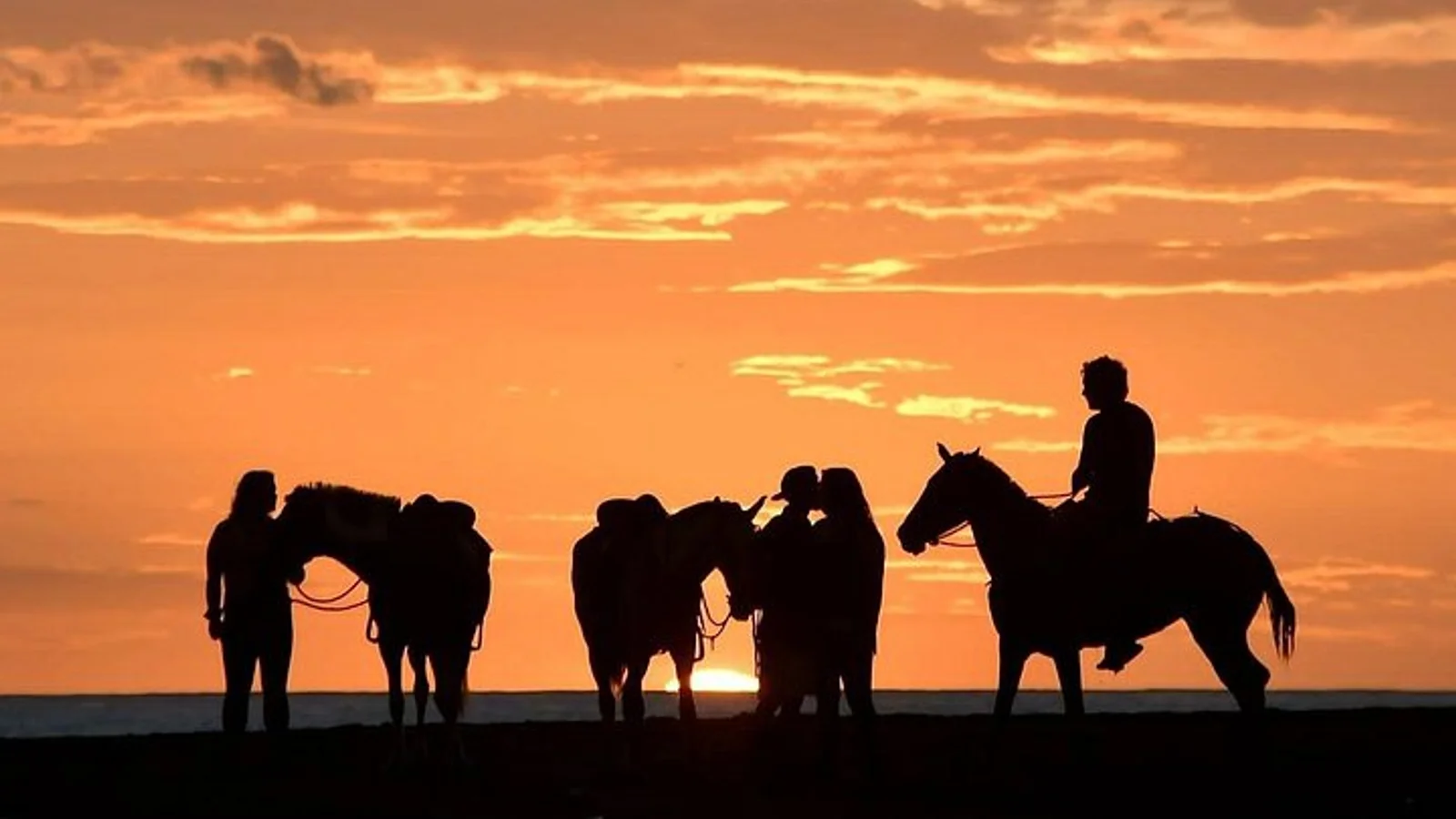 Horseback Riding in Puerto Carrillo: Beach & Jungle