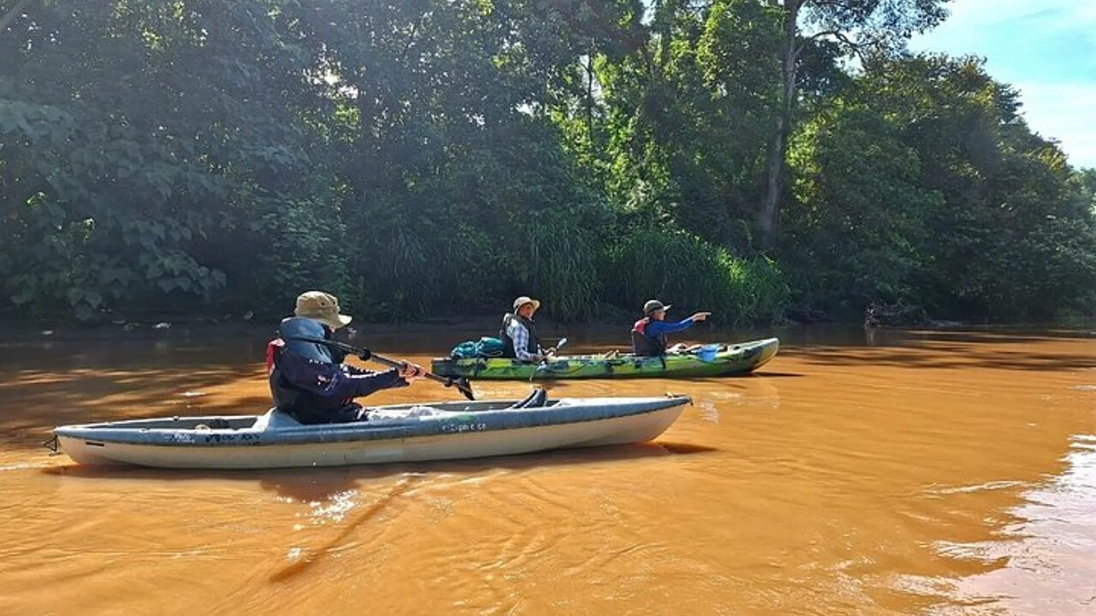 Mangrove Kayak - near Sámara & Carrillo Beach