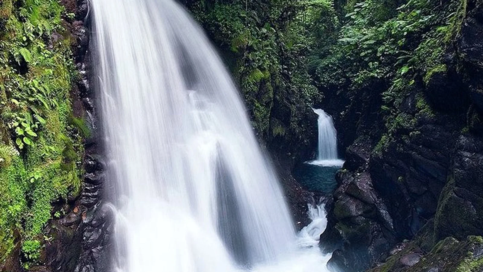 La Paz Waterfall Gardens and Wildlife Refuge Tour from San Jose