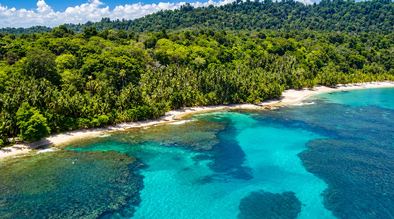 Aerial view of a palm-lined beach with turquoise water and coral reefs near Limón, Costa Rica
