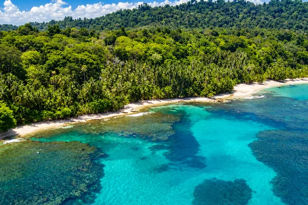 Aerial view of a palm-lined beach with turquoise water and coral reefs near Limón, Costa Rica