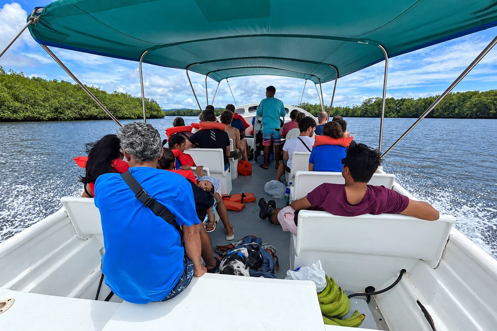 Passengers ride under a canopy on a boat cruising a river lined with mangroves near Sierpe