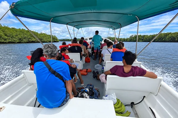 Passengers ride under a canopy on a boat cruising a river lined with mangroves near Sierpe