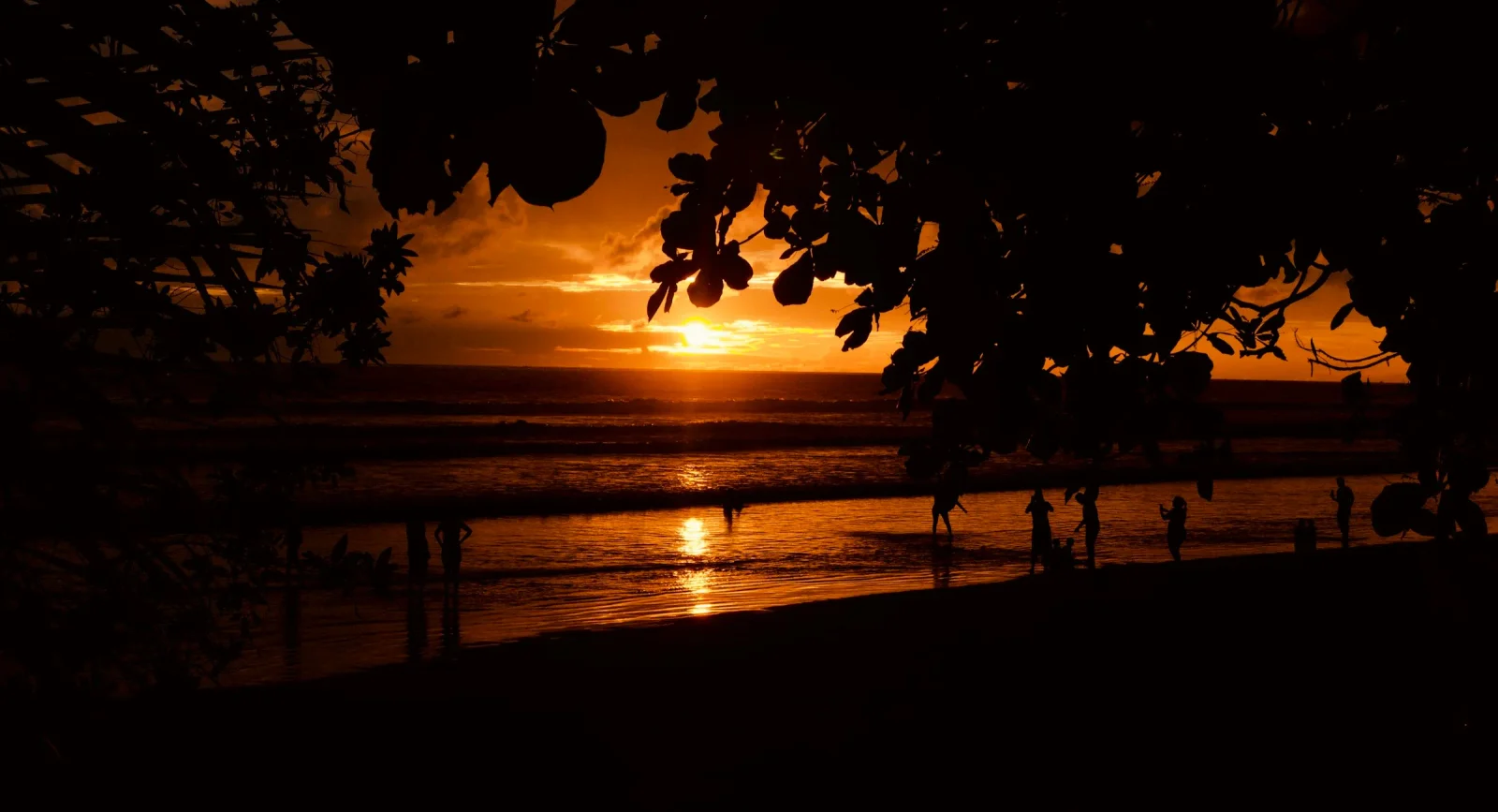 Golden-hour light over a Pacific beach and palms on Costa Rica's Nicoya Peninsula near Nosara