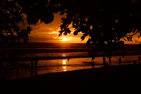 Golden-hour light over a Pacific beach and palms on Costa Rica's Nicoya Peninsula near Nosara